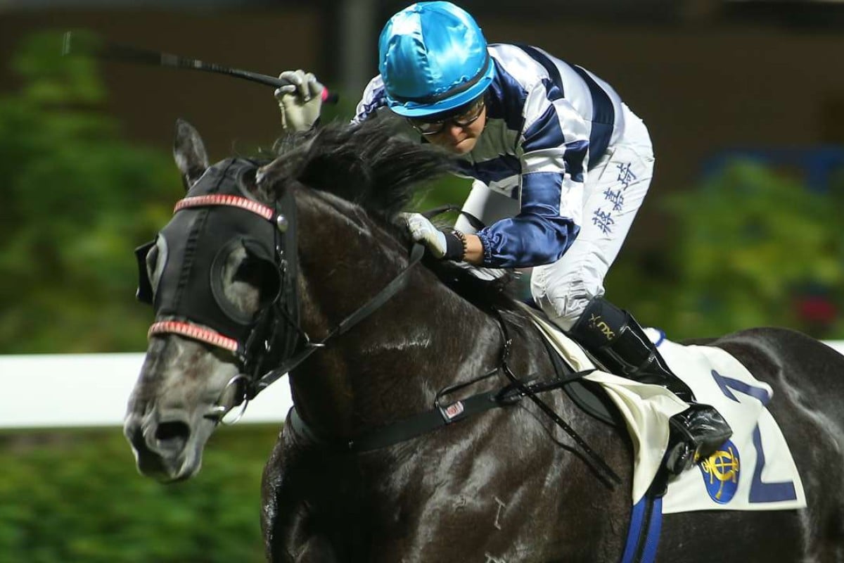 Packing Dragon wins at Happy Valley in November. Photos: Kenneth Chan
