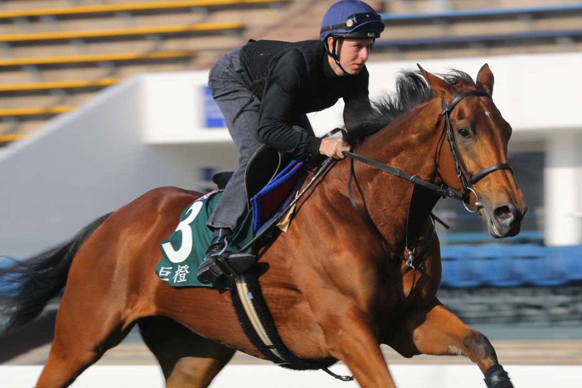 Damian Lane gallops Big Orange at Sha Tin on Thursday morning. Photos: Kenneth Chan