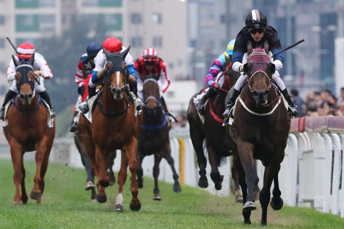 Sam Clipperton steers Bay Boy to victory at Sha Tin on Saturday. Photos: Kenneth Chan