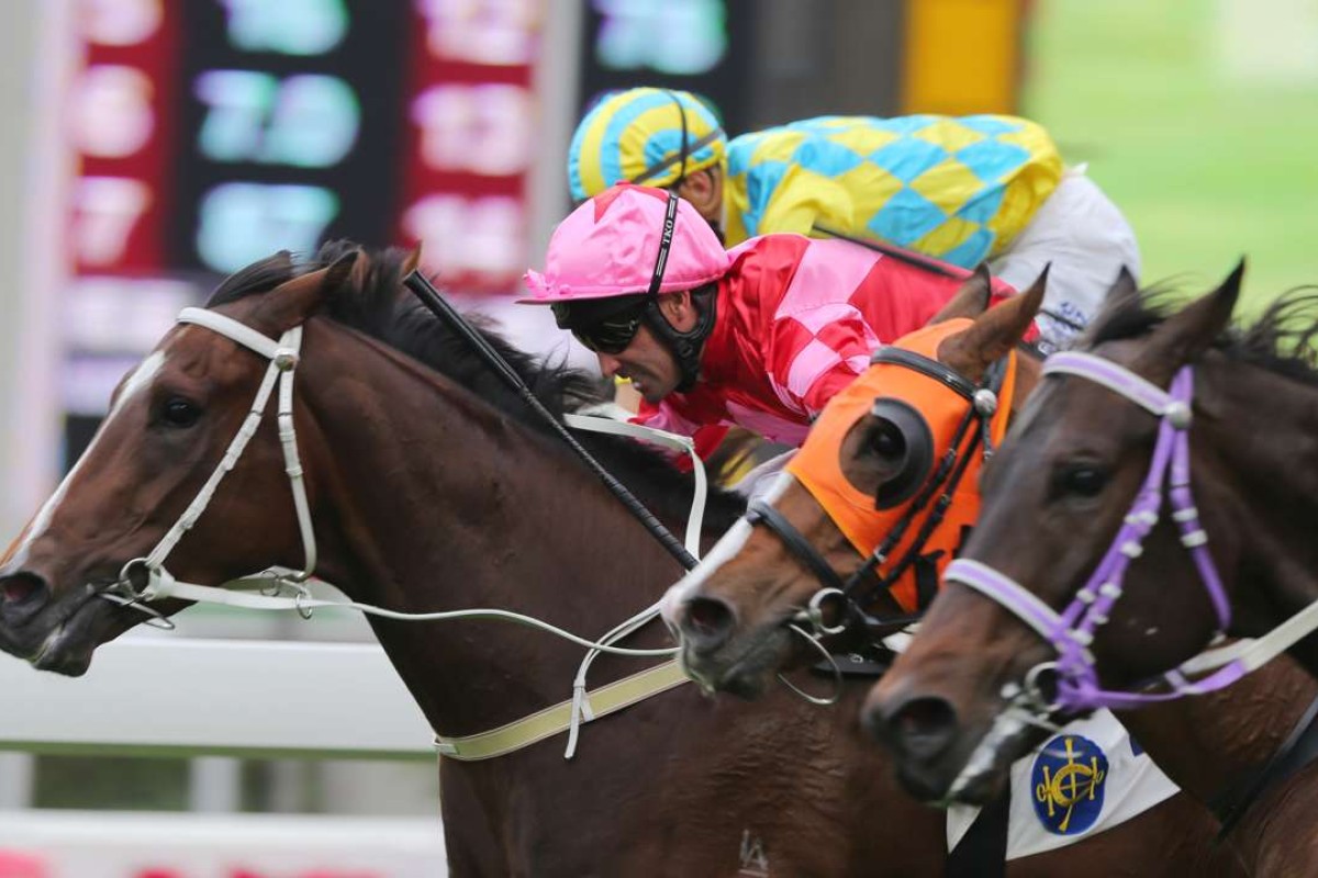 Neil Callan pushes out Regency Bo Bo to prevail at Sha Tin on Saturday. Photos: Kenneth Chan