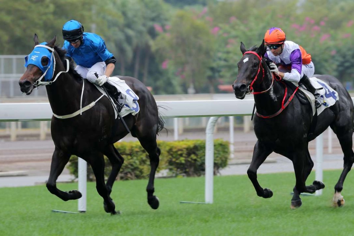 Daring Fit beats Happy Happy Star at Sha Tin on Saturday. Photos: Kenneth Chan