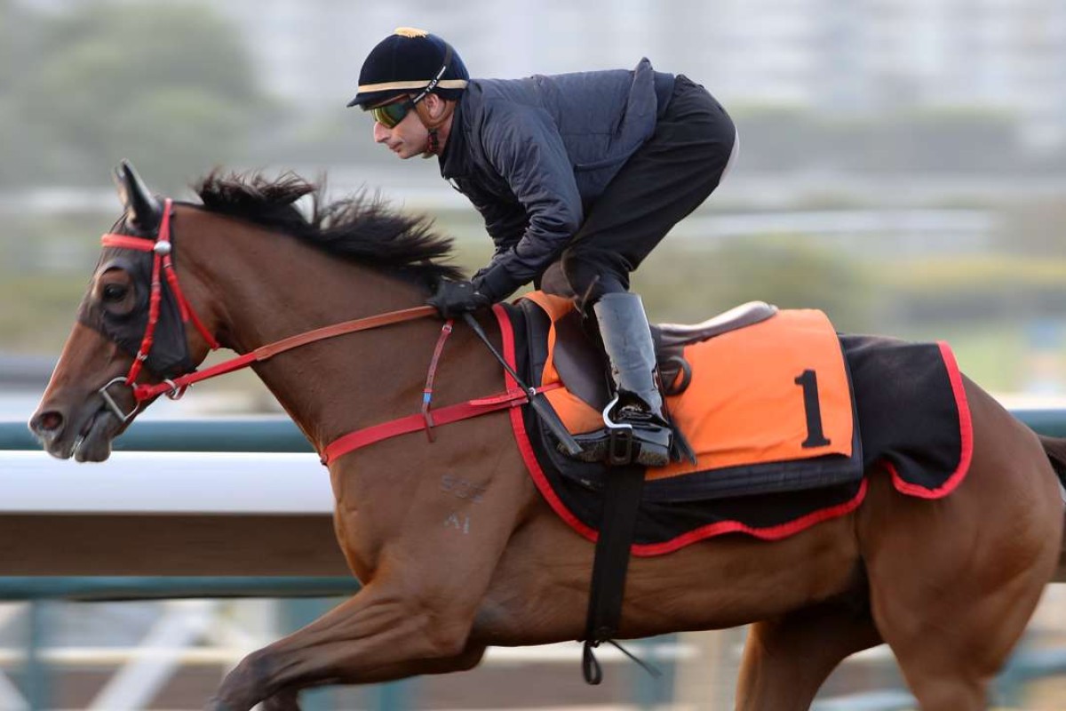 Gerald Mosse gallops Burst Away at trackwork. Photos: Kenneth Chan