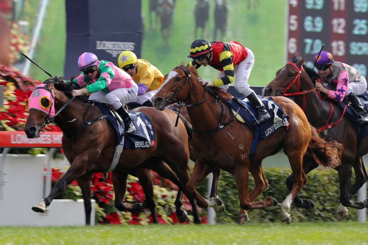 Aerovelocity wins the 2016 Hong Kong Sprint, beating Lucky Bubbles and Peniaphobia. But don’t expect to see any of these horses making the trip to Australia for The Everest. Photos: Kenneth Chan