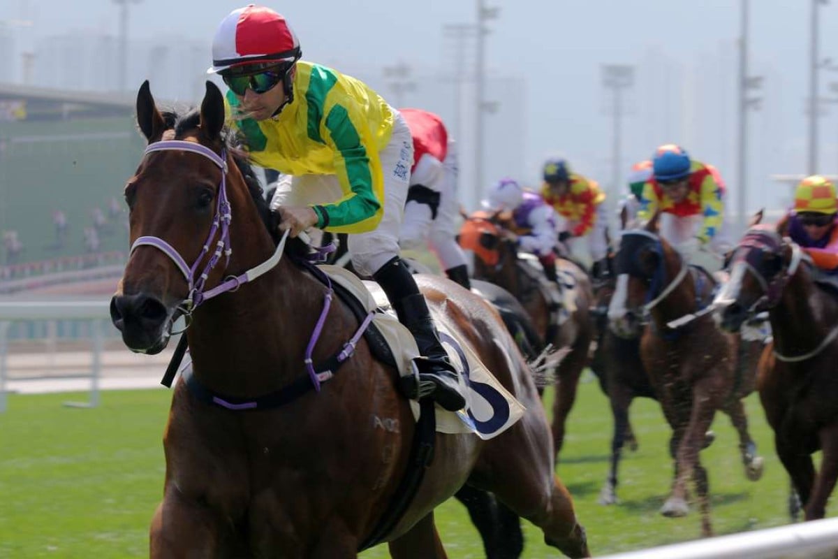 Bravo Watchman leaves his rivals in his wake after a terrific debut at Sha Tin on Sunday. Photos: Kenneth Chan