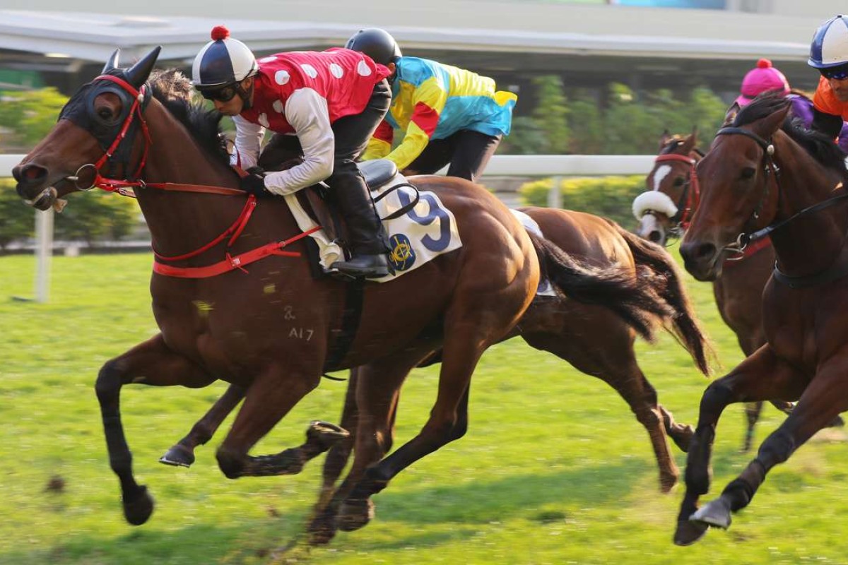 Ben So rides Don’t Miss in a December barrier trial. Photos: Kenneth Chan