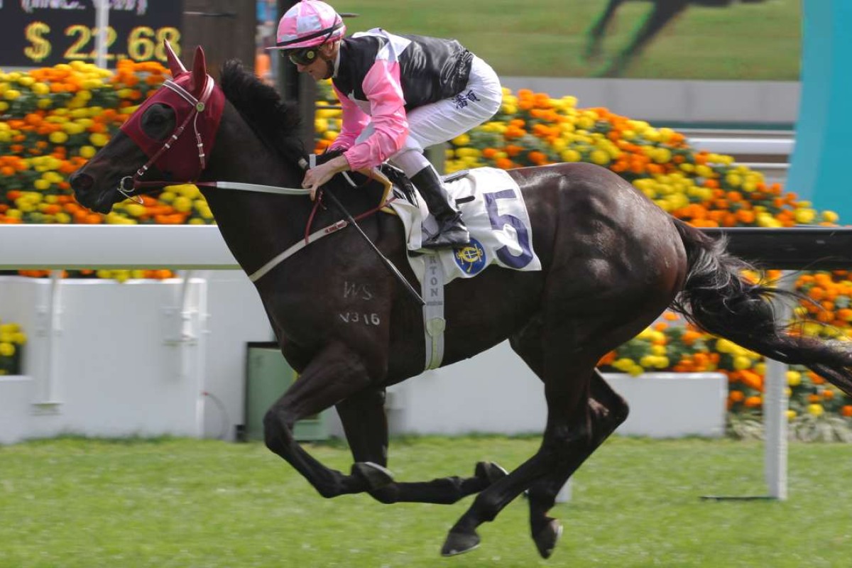 Zac Purton guides Go Beauty Go to victory at Sha Tin on New Year’s Day. Photos: Kenneth Chan