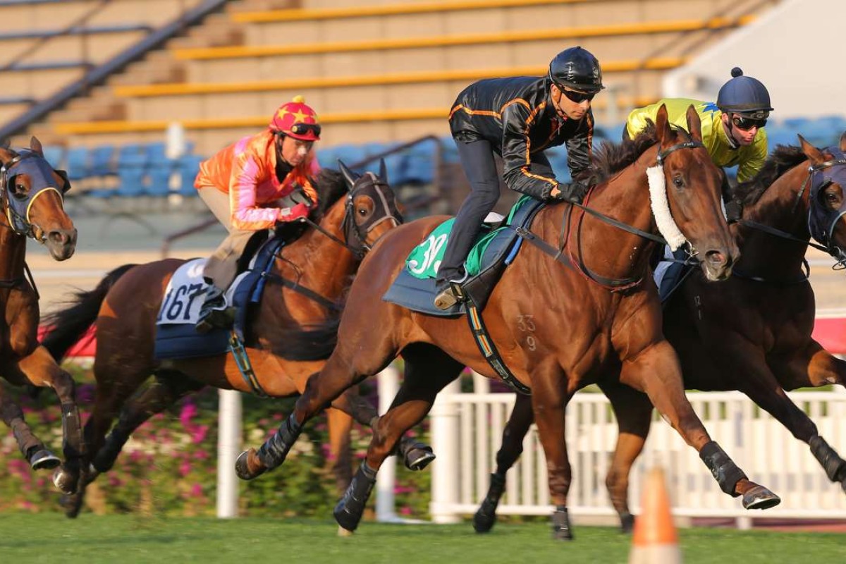 Able Friend and Werther lead home John Moore’s team of four in Tuesday’s trial. Photos: Kenneth Chan