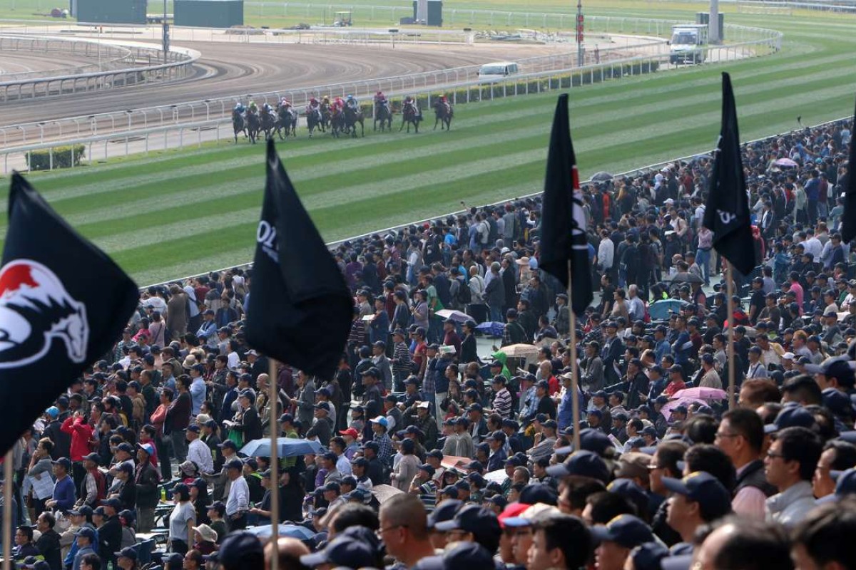 Fans pack in to watch the action at Sha Tin on International Day. Photos: Kenneth Chan