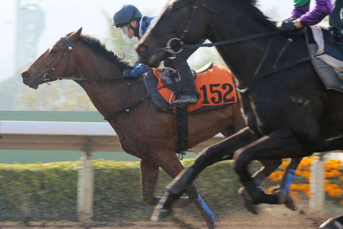 Such A Happiness (inside) trials at Sha Tin in February. Photos: Kenneth Chan