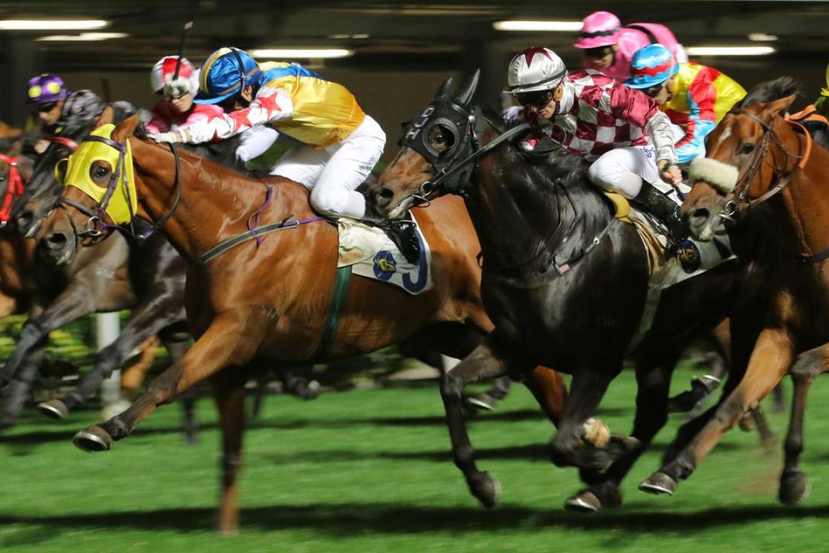 Happy Rocky (yellow) wins at Happy Valley in January 2016. Photos: Kenneth Chan
