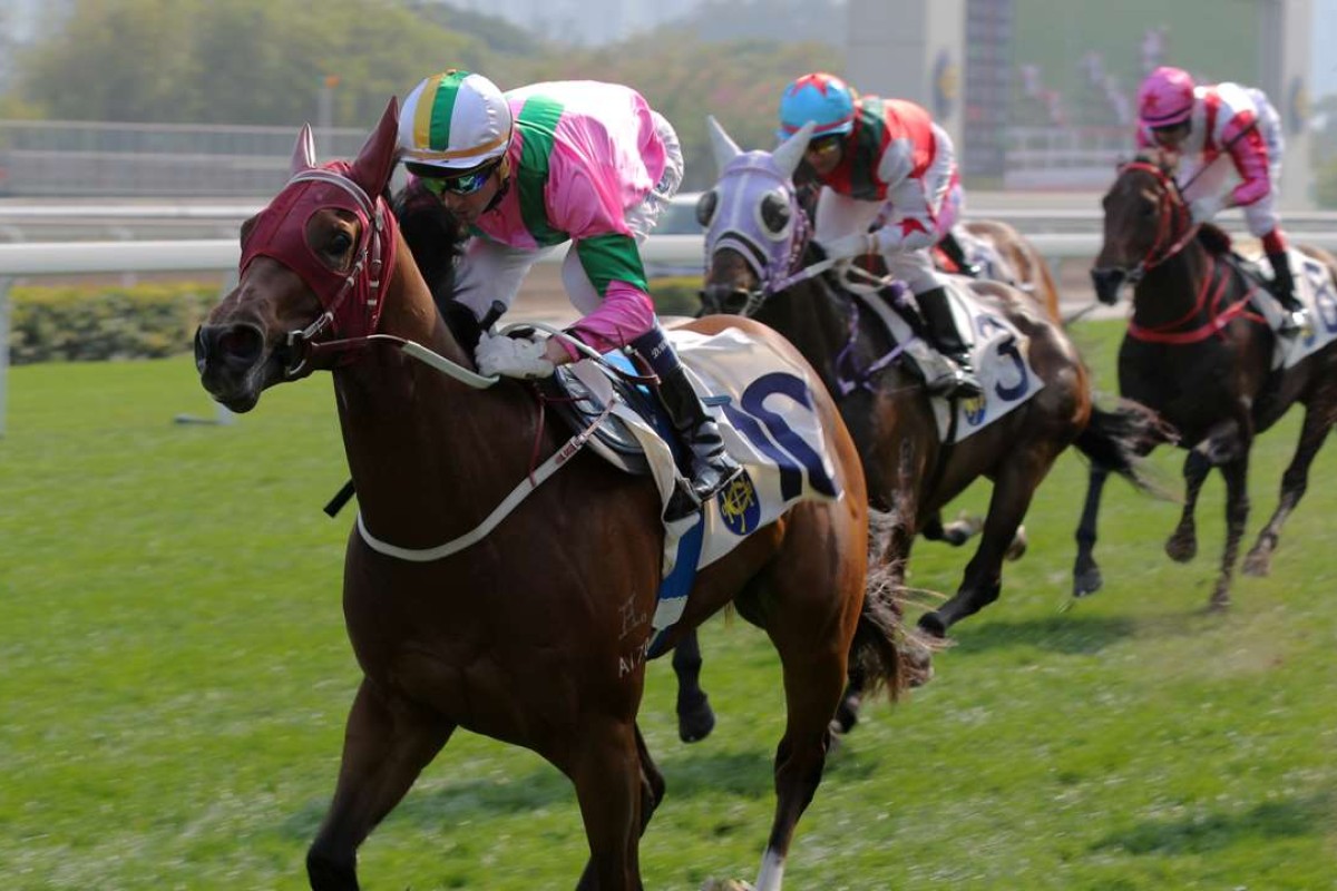 Magic Legend wins in Class Three in February, the three-year-old now steps up to 1,200m on Sunday. Photos: Kenneth Chan.