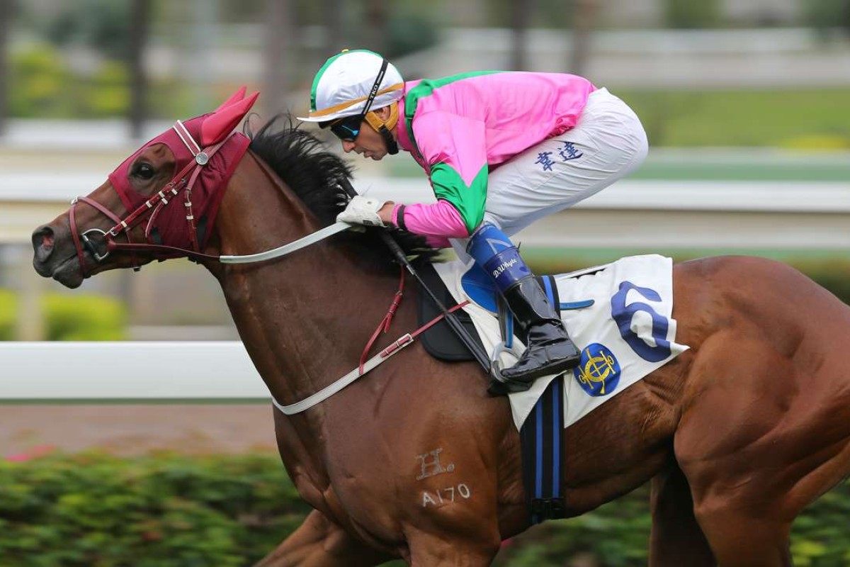 Douglas Whyte guides Magic Legend to victory at Sha Tin on Sunday. Photos: Kenneth Chan
