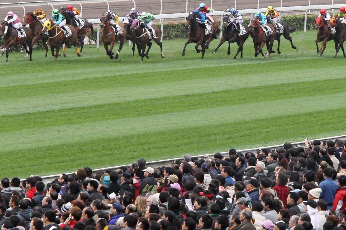 Horse racing is at the forefront as the Guangdong black market grows. Photo: David Wong