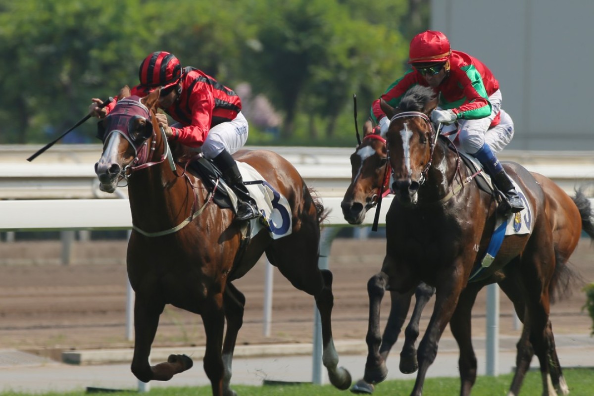 Helene Charisma (right) hangs in as he goes to pass stablemate Eagle Way last start in the Queen Mother Memorial Cup at Sha Tin. Photos: Kenneth Chan
