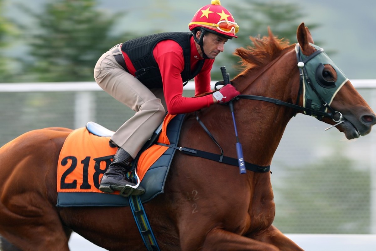 Douglas Whyte rides Granite Belt at trackwork. Photos: Kenneth Chan