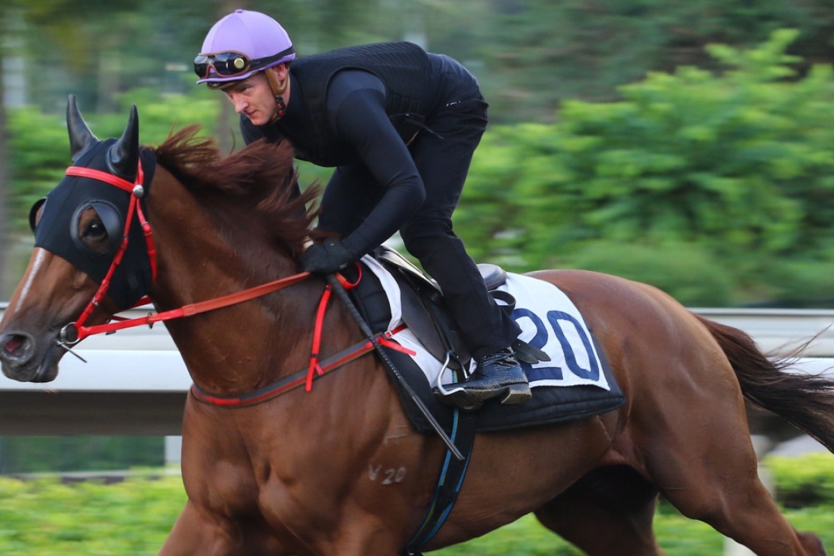 Zac Purton rides Jade Fortune at trackwork on Monday morning. Photos: Kenneth Chan