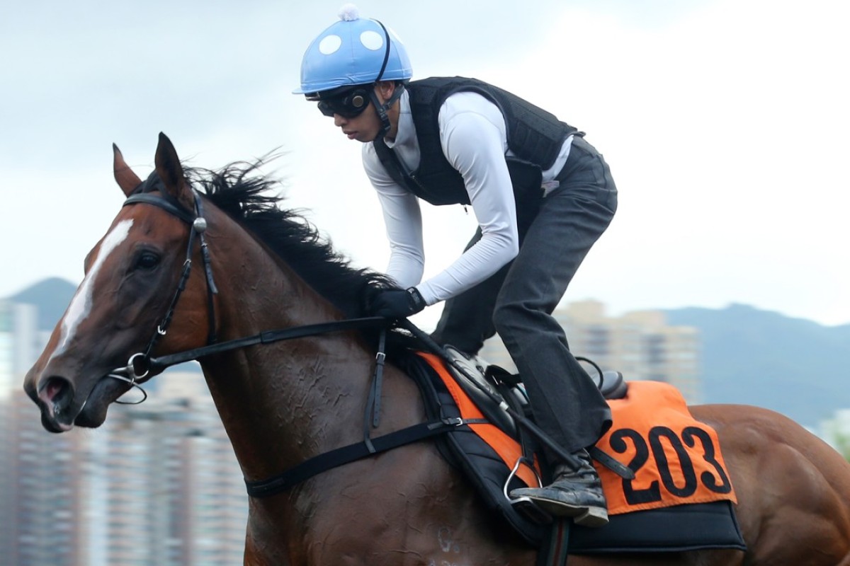 Put David Hall’s Ho Ho Horse in your pocket for next season | HK Racing ...