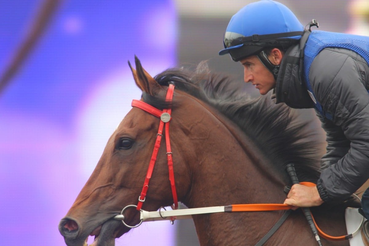 Jockey Bernard Fayd'herbe, seen here riding trackwork, won the Durban July at Greyville on Saturday. Photo: Kenneth Chan