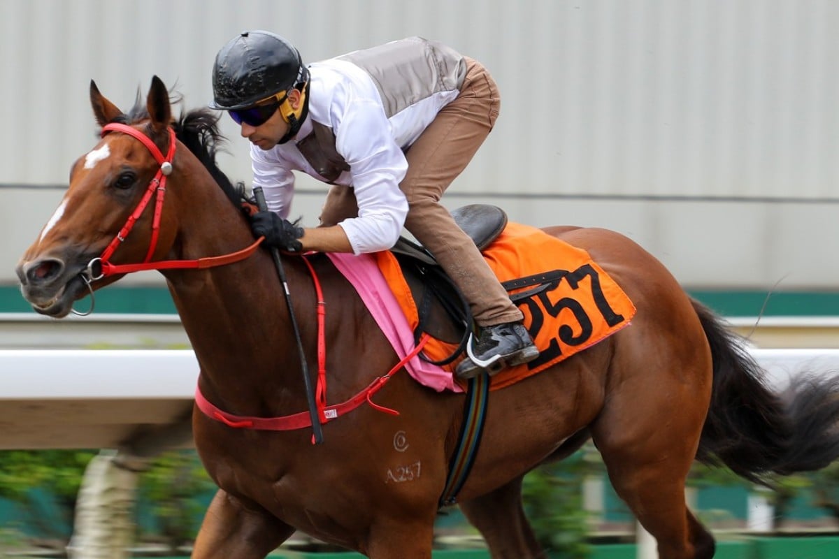 Ivoctory cruises around in a 1,050 metre dirt trial on July 7 at Sha Tin. Photos: Kenneth Chan.