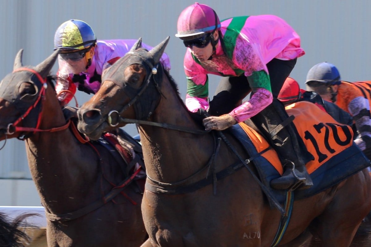 Tommy Berry (right) gets Magic Legend ready for this assignment in a barrier trial. Photos: Kenneth Chan