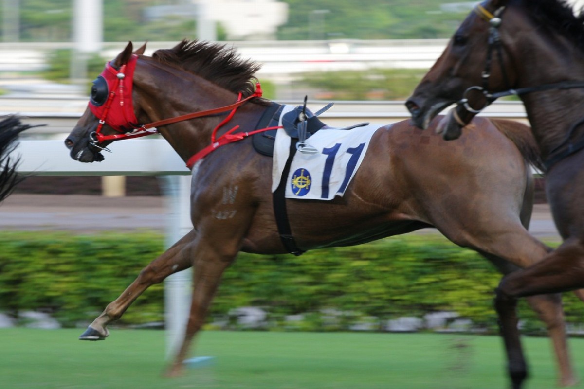 G-One Lover continues on after losing rider Alex Lai at Sha Tin on Sunday. Photos: Kenneth Chan