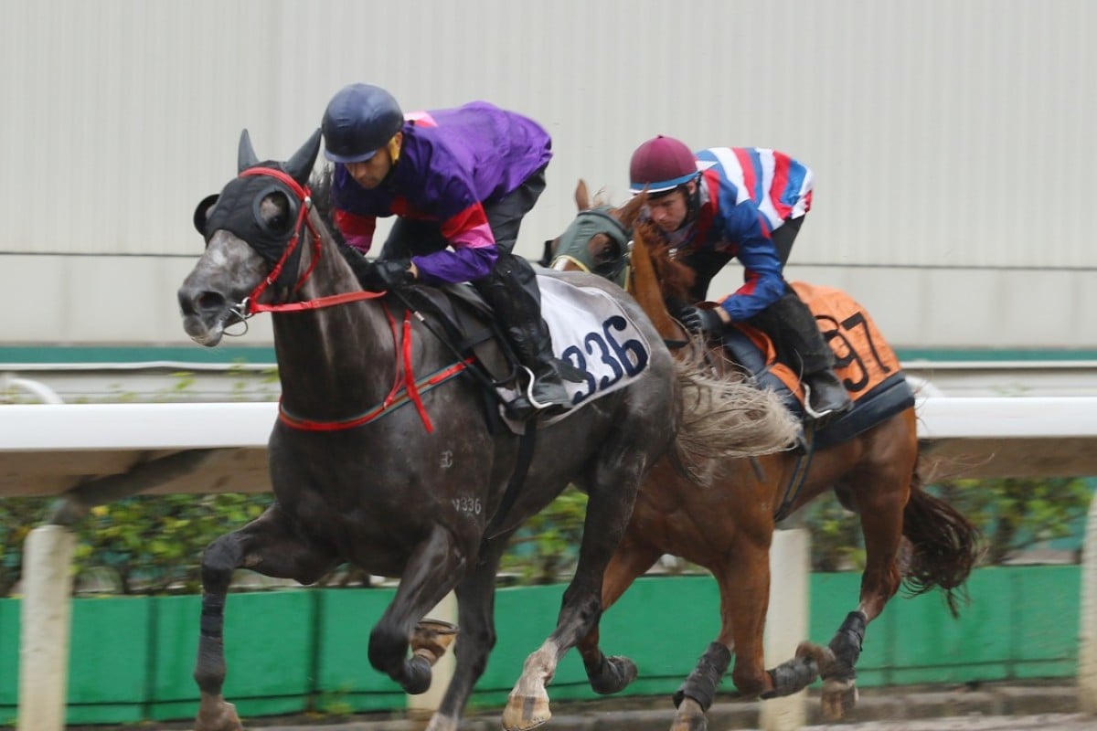 Gran Master (left) trials impressively on September 5. Photos: Kenneth Chan.