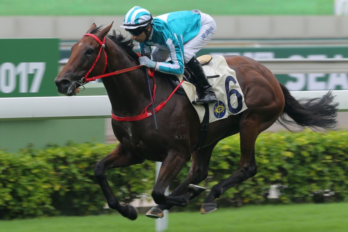 Household King wins under a hold by Joao Moreira on September 3. Photos: Kenneth Chan.