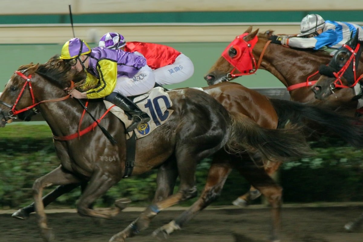 I’m The Won For You (left) wins on the all-weather track at Sha Tin in January. Photos: Kenneth Chan