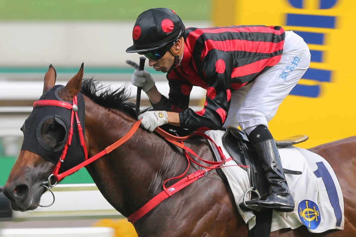 Thewizardofoz (Joao Moreira) finally lives up to his reputation, winning the Premier Cup at Sha Tin in June. Photos: Kenneth Chan