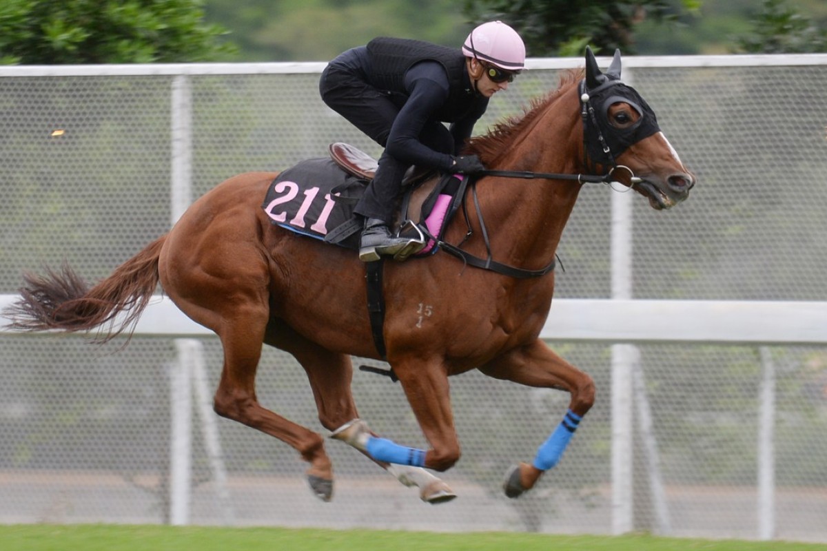 Lucky Bubbles gallops at Sha Tin with Zac Purton aboard on Thursday. Photos: Kenneth Chan