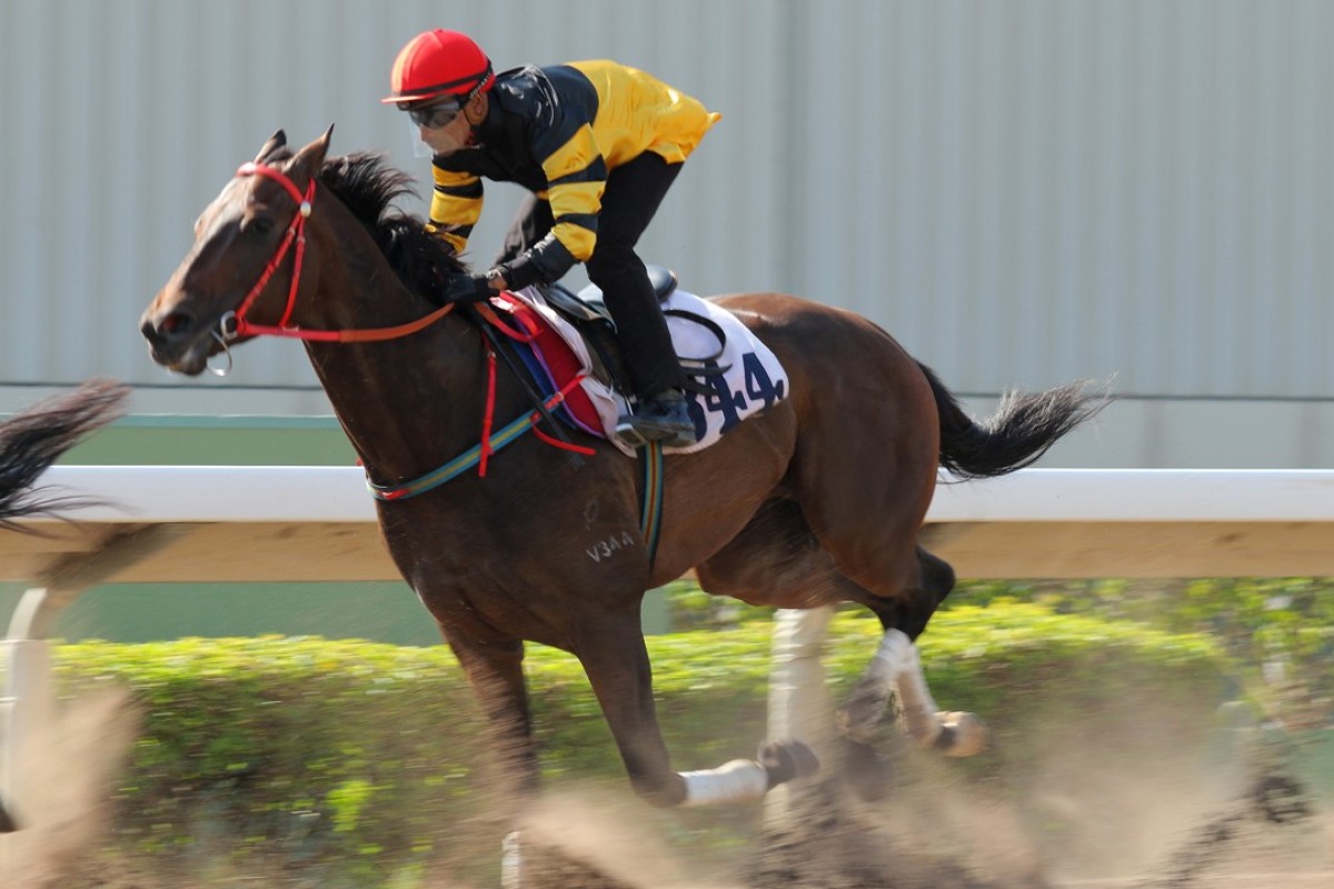 D B Pin trials for Karis Teetan on October 13. Photos: Kenneth Chan.