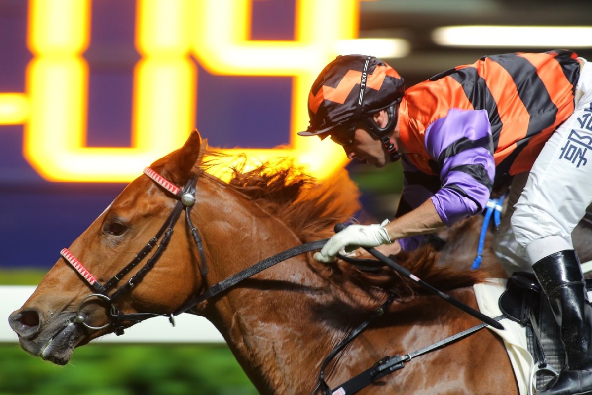 Neil Callan guides Speedy King to victory at Happy Valley on Wednesday night. Photos: Kenneth Chan