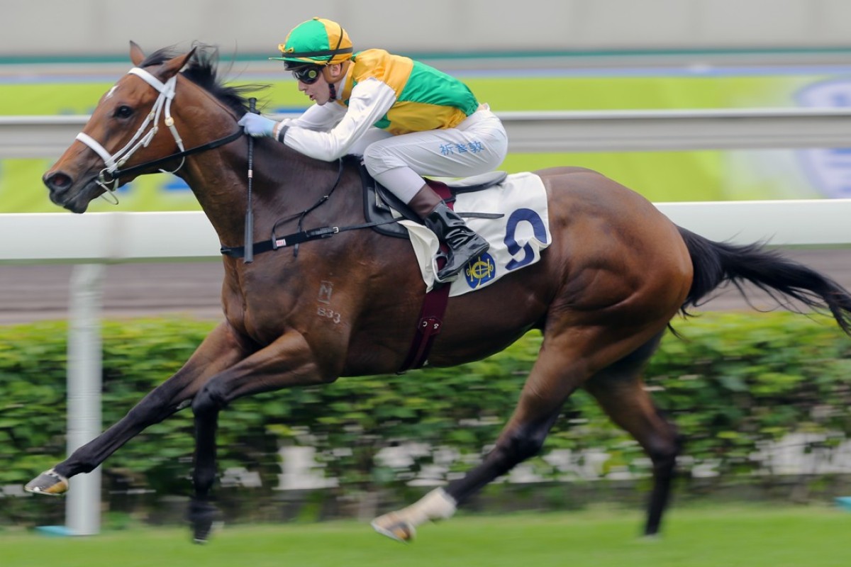 Southern Hemisphere-born Sparkling Dragon (Sam Clipperton) makes an impressive debut for freshman trainer Michael Freedman at Sha Tin. Photos: Kenneth Chan