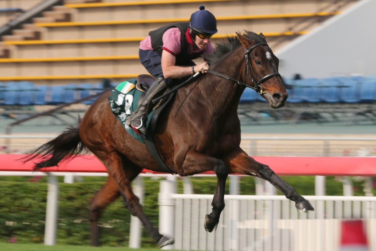 Hong Kong Vase runner Max Dynamite amazes trackwatchers with his final sprint. Photos: Kenneth Chan