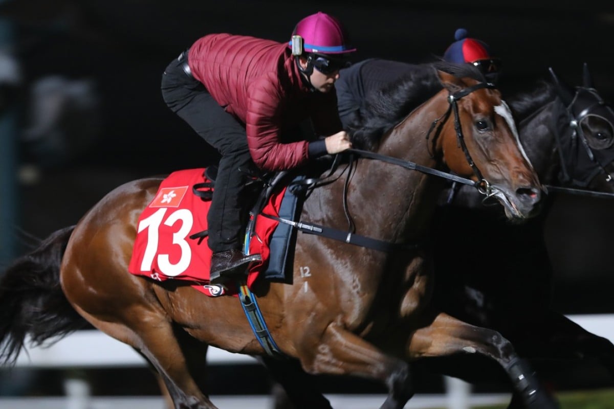 Tommy Berry puts Werther through his paces. Photos: Kenneth Chan