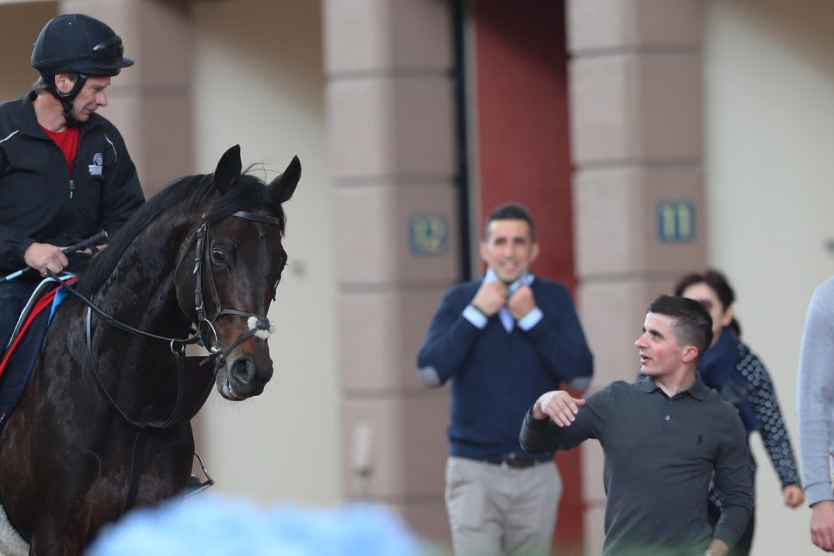 Poet’s Word does a lap of the parade ring next to jockey Andrea Atzeni after galloping on the turf at Sha Tin. Photos: Kenneth Chan