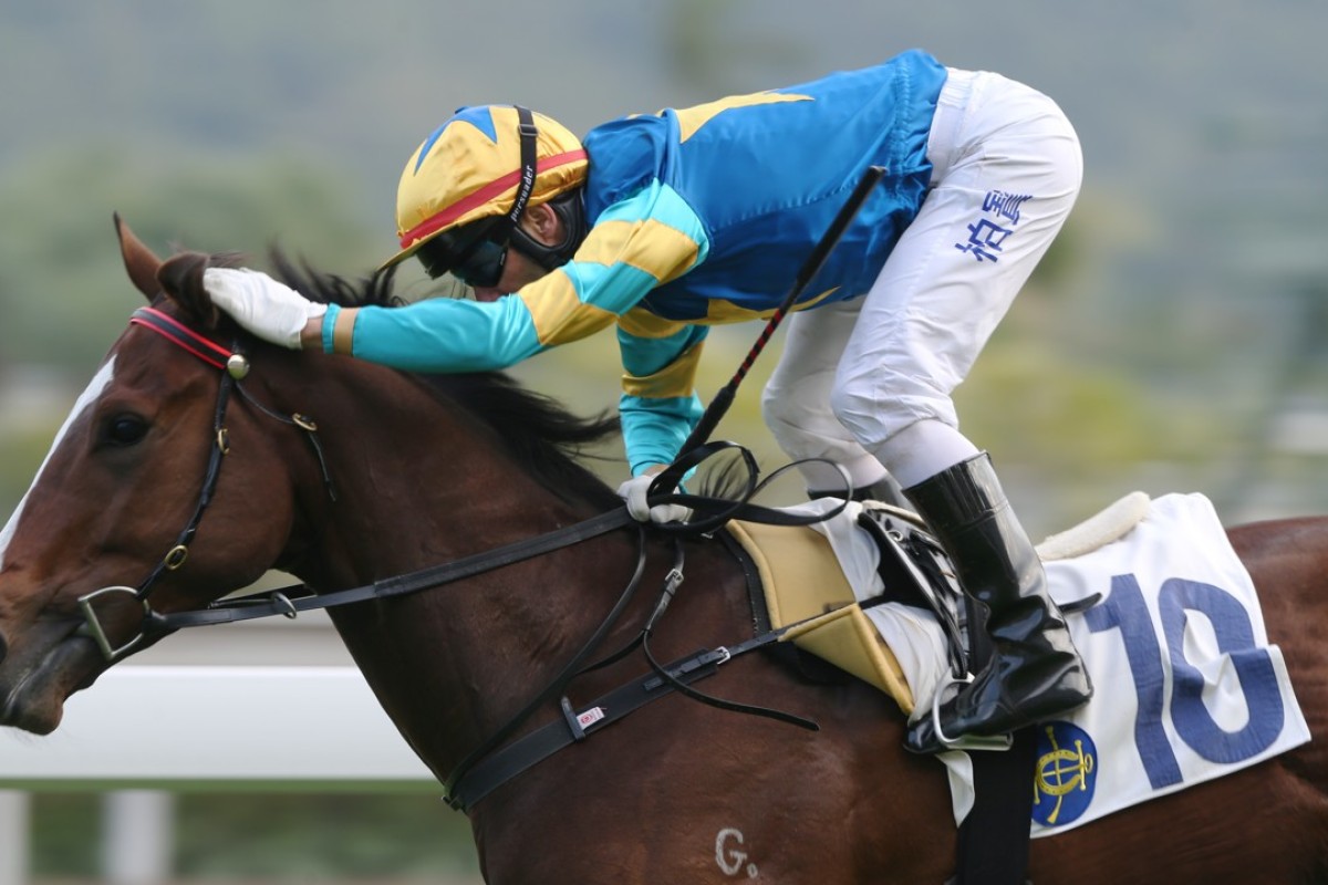 Brett Prebble gives Noble Steed a pat after winning on Sunday. Photos: Kenneth Chan