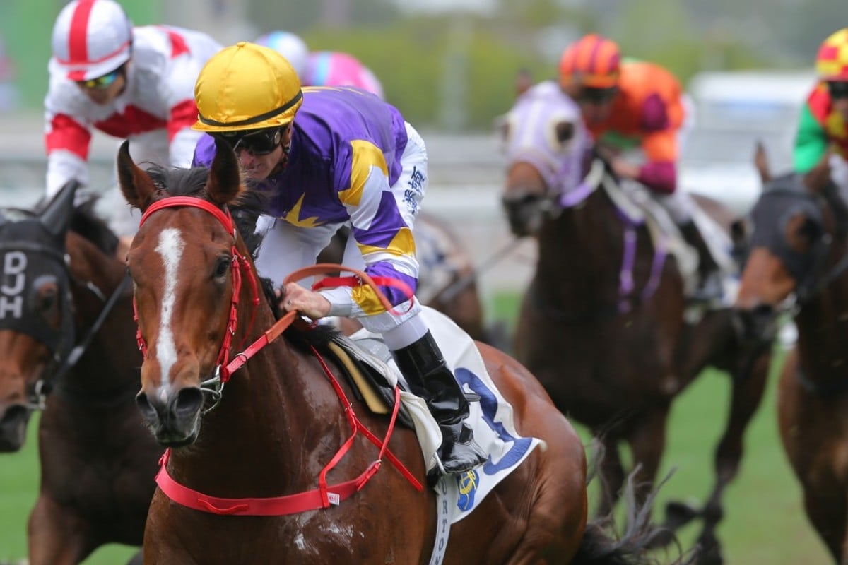 Zac Purton steers Golden Dash to a debut victory at Sha Tin. Photos: Kenneth Chan