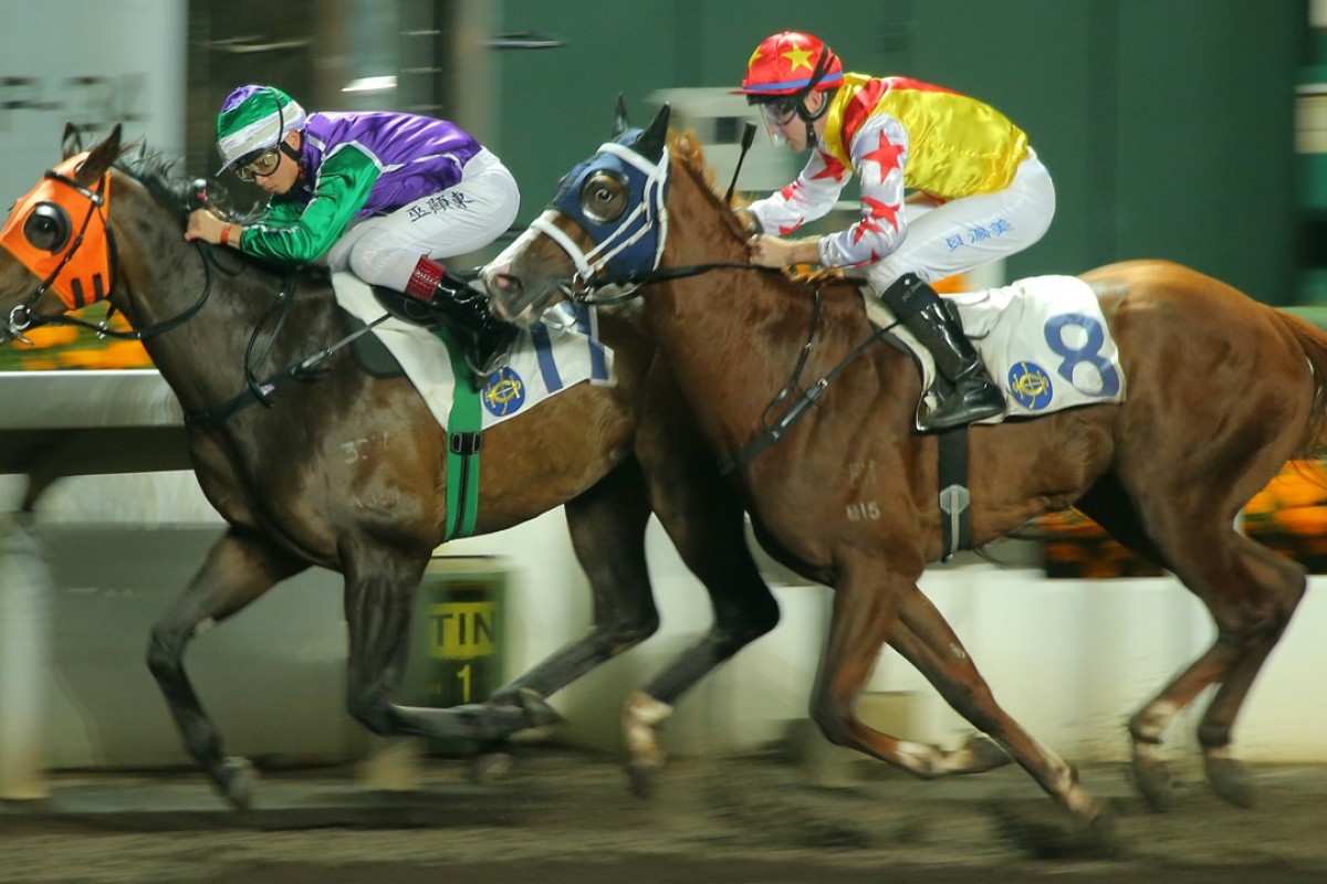 Elite Boy (right) finishes second to Winning Supreme on Wednesday night. Photo: Kenneth Chan