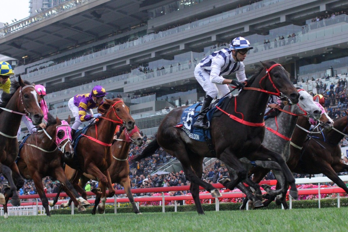 Joao Moreira guides Seasons Bloom to victory in the Group One Stewards’ Cup. Photos: Kenneth Chan