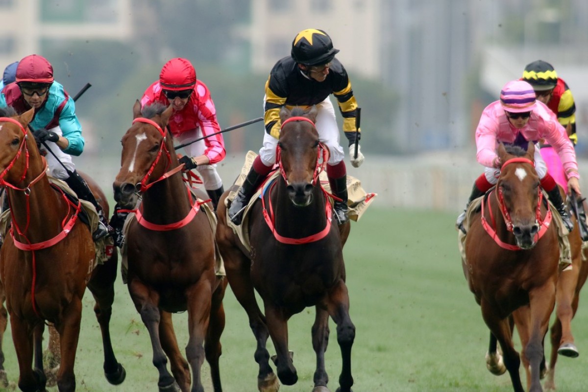 D B Pin (second from right) beats Mr Stunning (second from left) in the Group One Centenary Sprint Cup on Sunday. Photos: Kenneth Chan