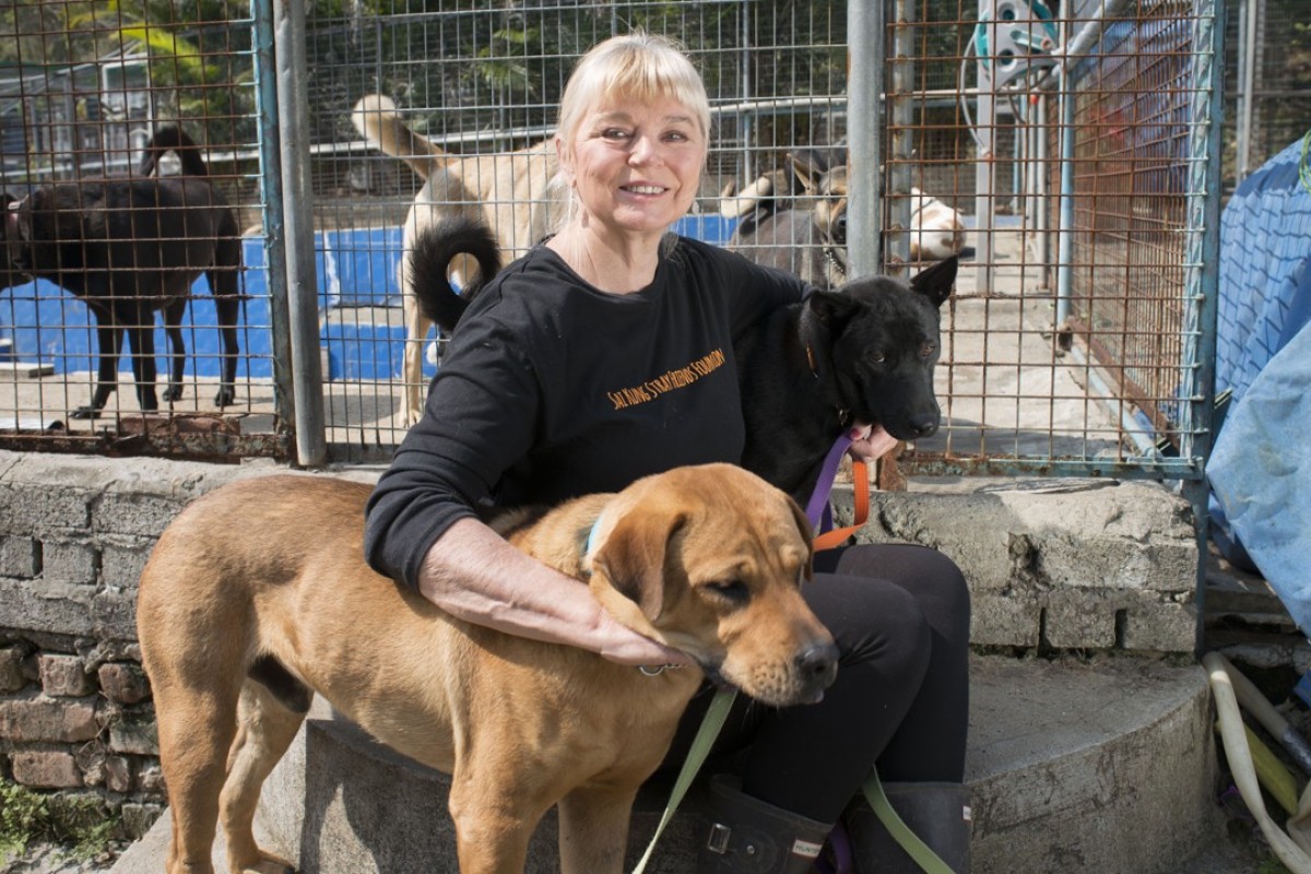 Why Hong Kong dog shelters are struggling to survive | Post Magazine