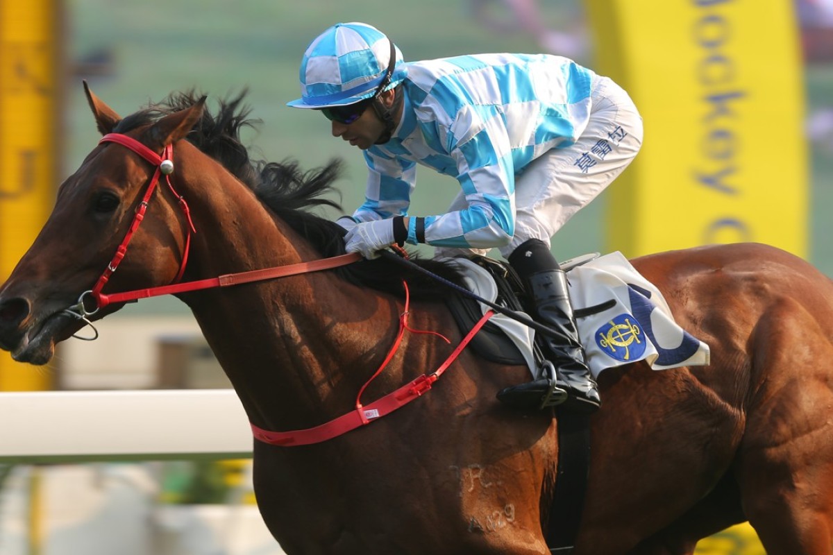 Joao Moreira guides Conte to his fifth straight victory. Photos: Kenneth Chan