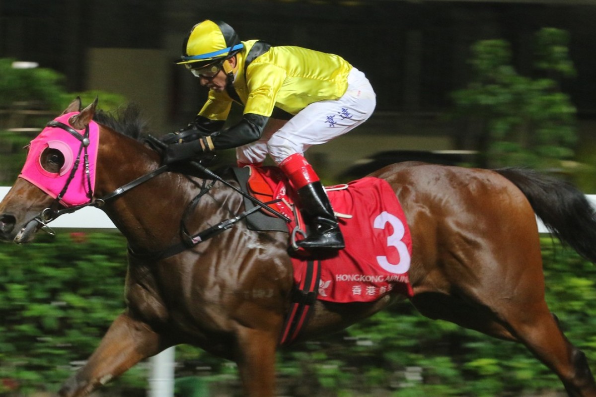 Douglas Whyte guides Born In China to victory in November. Photos: Kenneth Chan