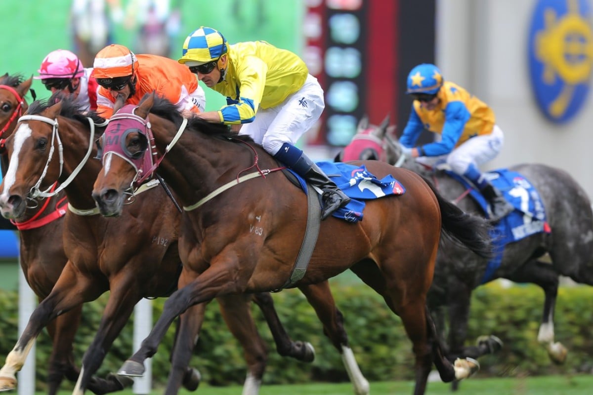 Hugh Bowman guides Werther to victory in the 2017 Citi Hong Kong Gold Cup. Photos: Kenneth Chan