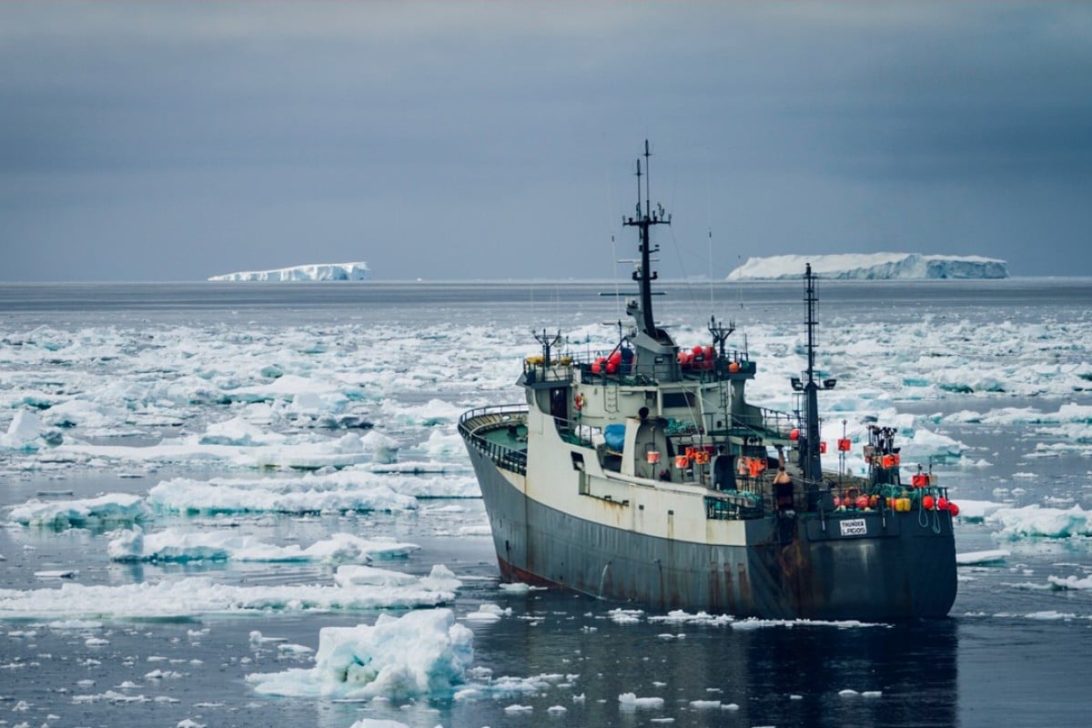 Story of Sea Shepherd’s epic highseas hunt for poachers revealed in