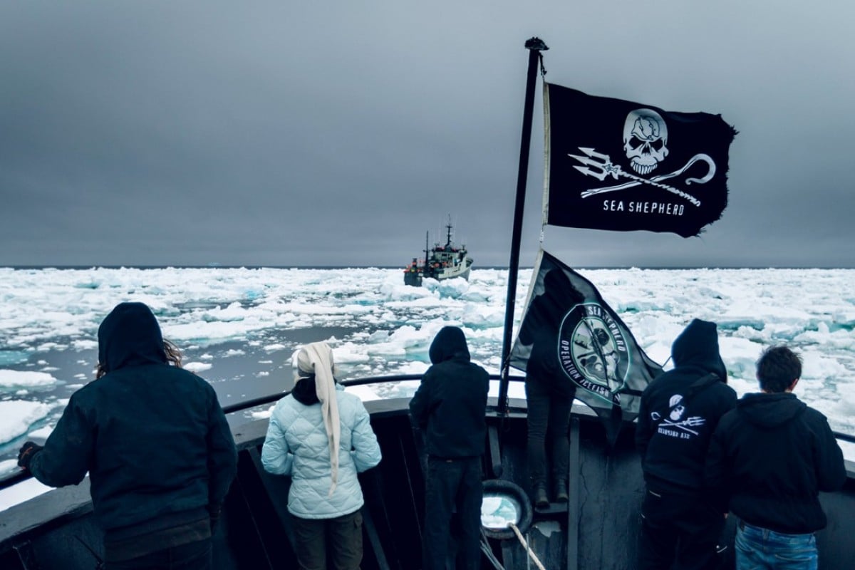 Image result for sea shepherd