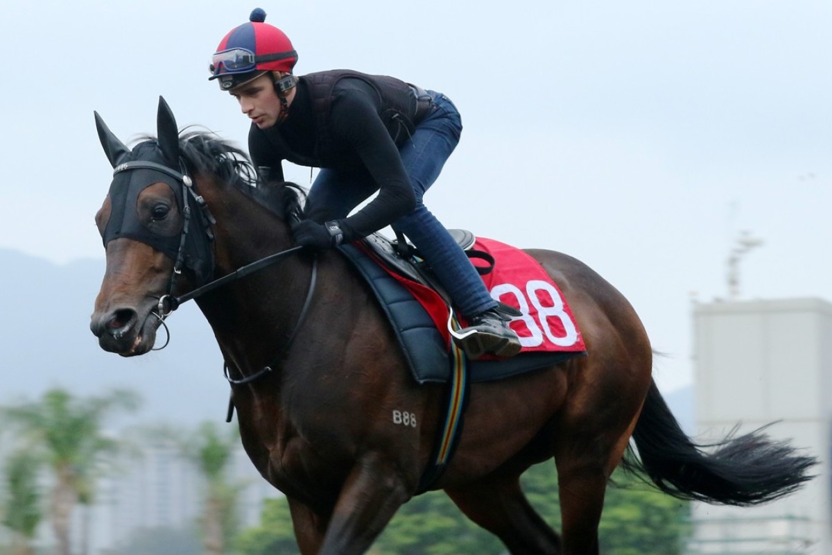 Sam Clipperton works Rivet on Friday morning. Photos: Kenneth Chan