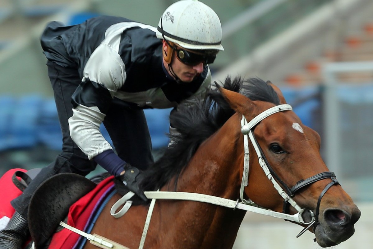 Exultant trials at Sha Tin for Zac Purton. Photos: Kenneth Chan.