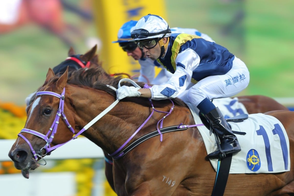 Redkirk Warrior wins at Sha Tin in February 2015. Photos: Kenneth Chan